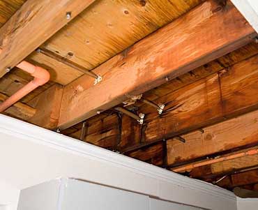 Wood Rot Repair Services